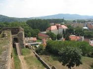 Pohled z hradn ve
