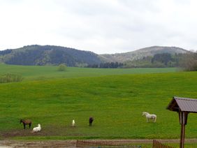 Okolní pastviny